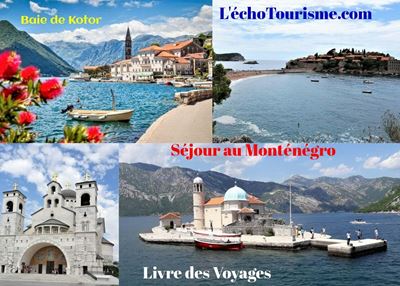 Forex club montenegro